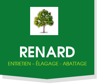 Renard